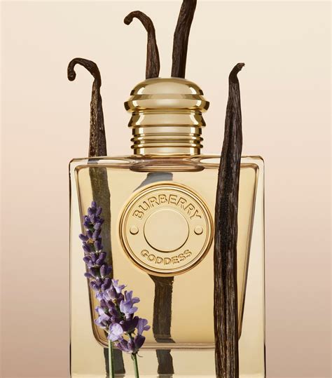 burberry goddess aroma|where to buy burberry goddess.